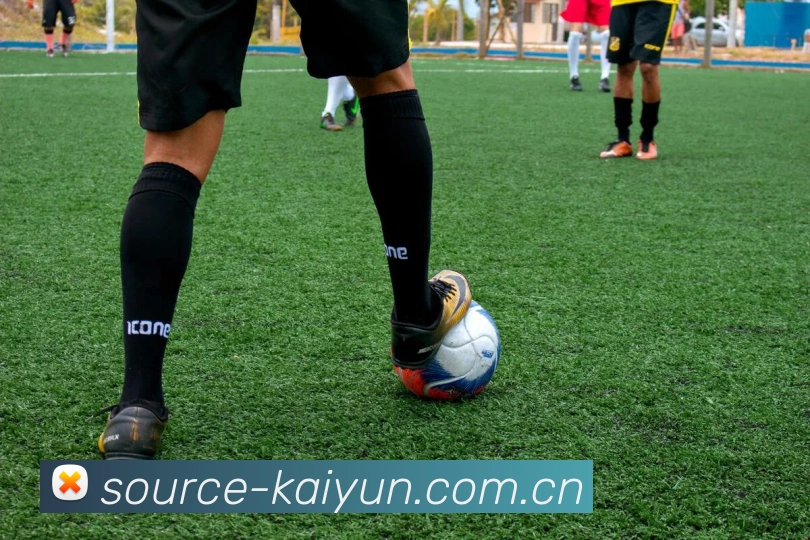 开云 (kaiyun.com)平台生态图